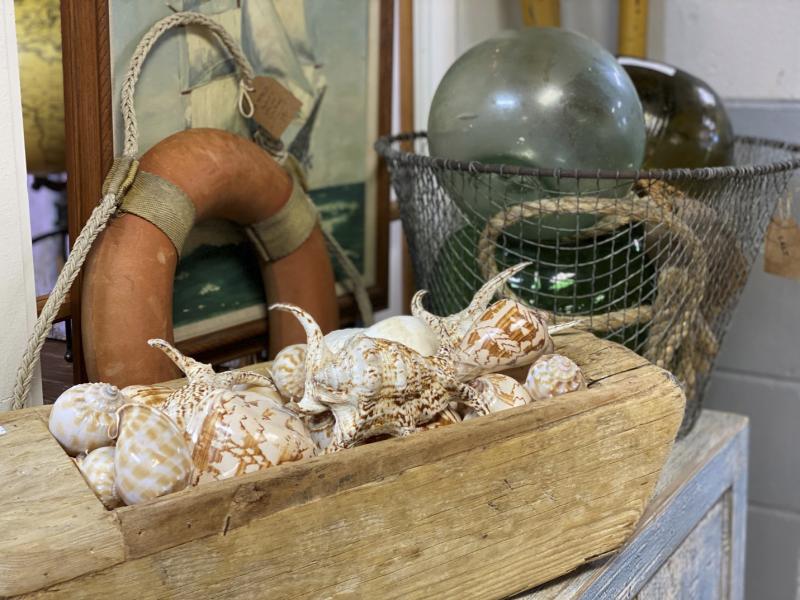 Local interior designer joins Brush Factory on Kings merchants Cape